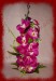 H 0000233 - Fialový orchidej 